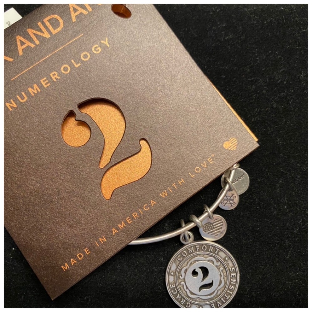 NWT Alex and Ani Number 2 Charm Bangle